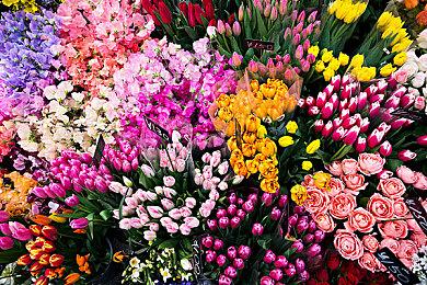 第八届战锤颅骨节5月24日回归 “星际战士2”将公布全新情报