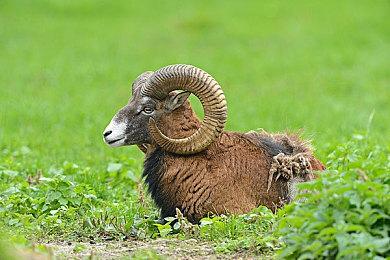 《如龙：极》10月25日登陆Switch 真人剧同时播出